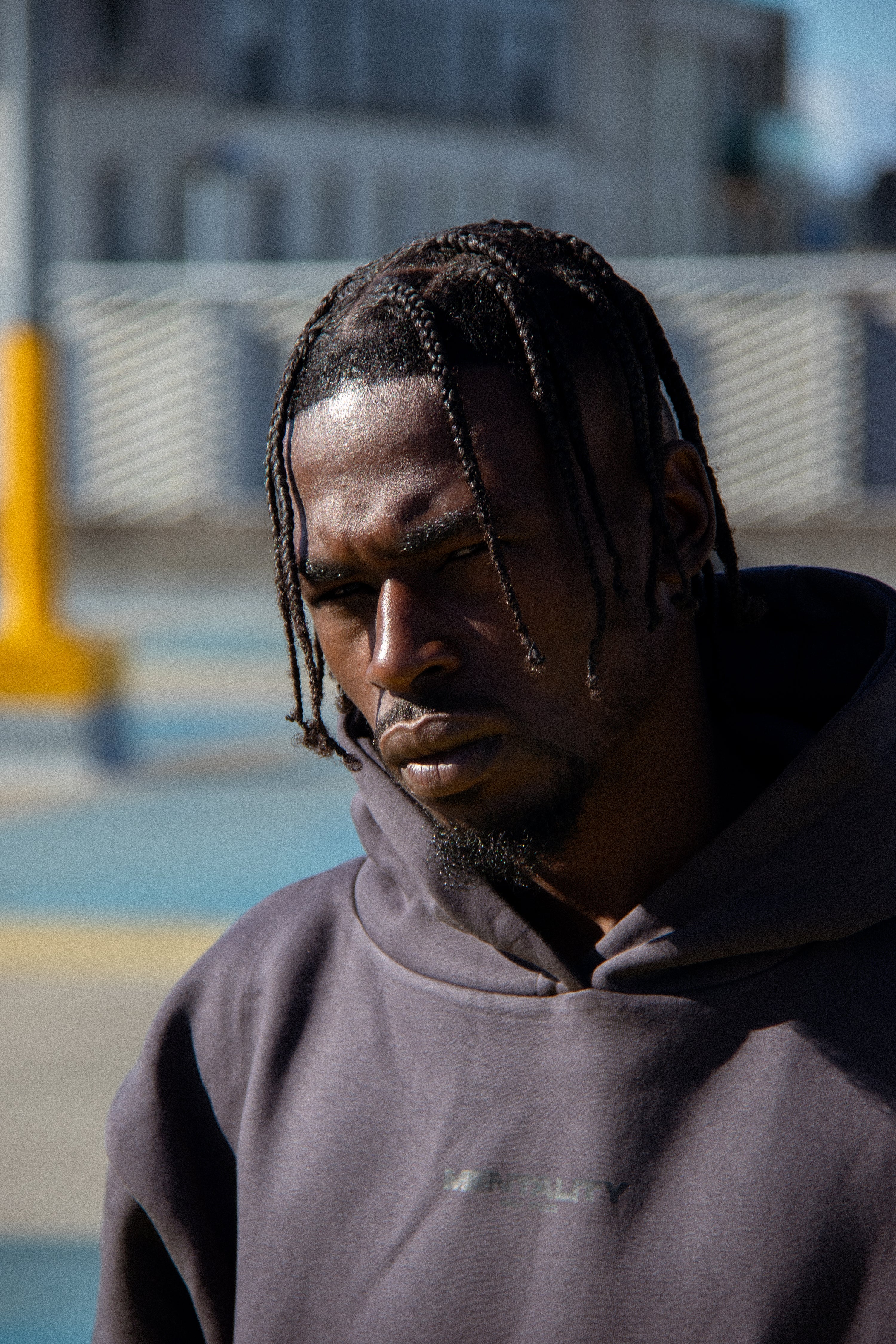 Mentality Stealth Heavyweight Hoodie