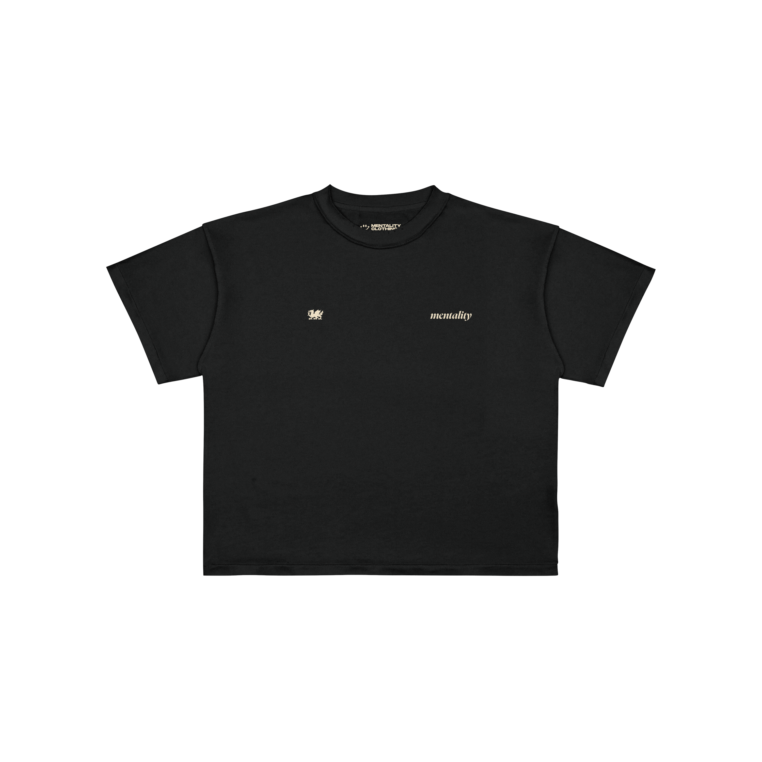 Ailddiffinio | T-Shirt