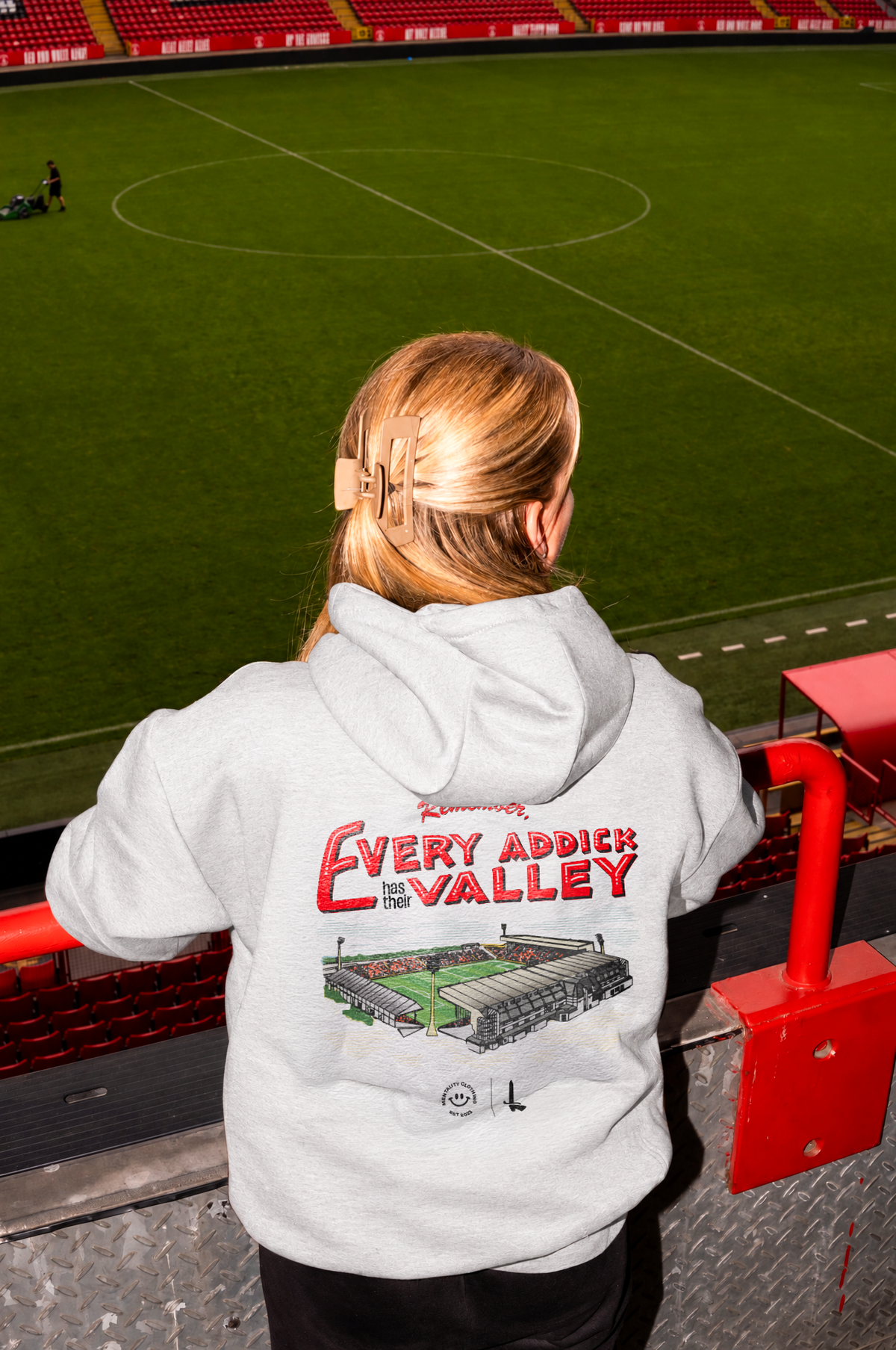 The Valley | Premium Heavyweight Hoodie grey