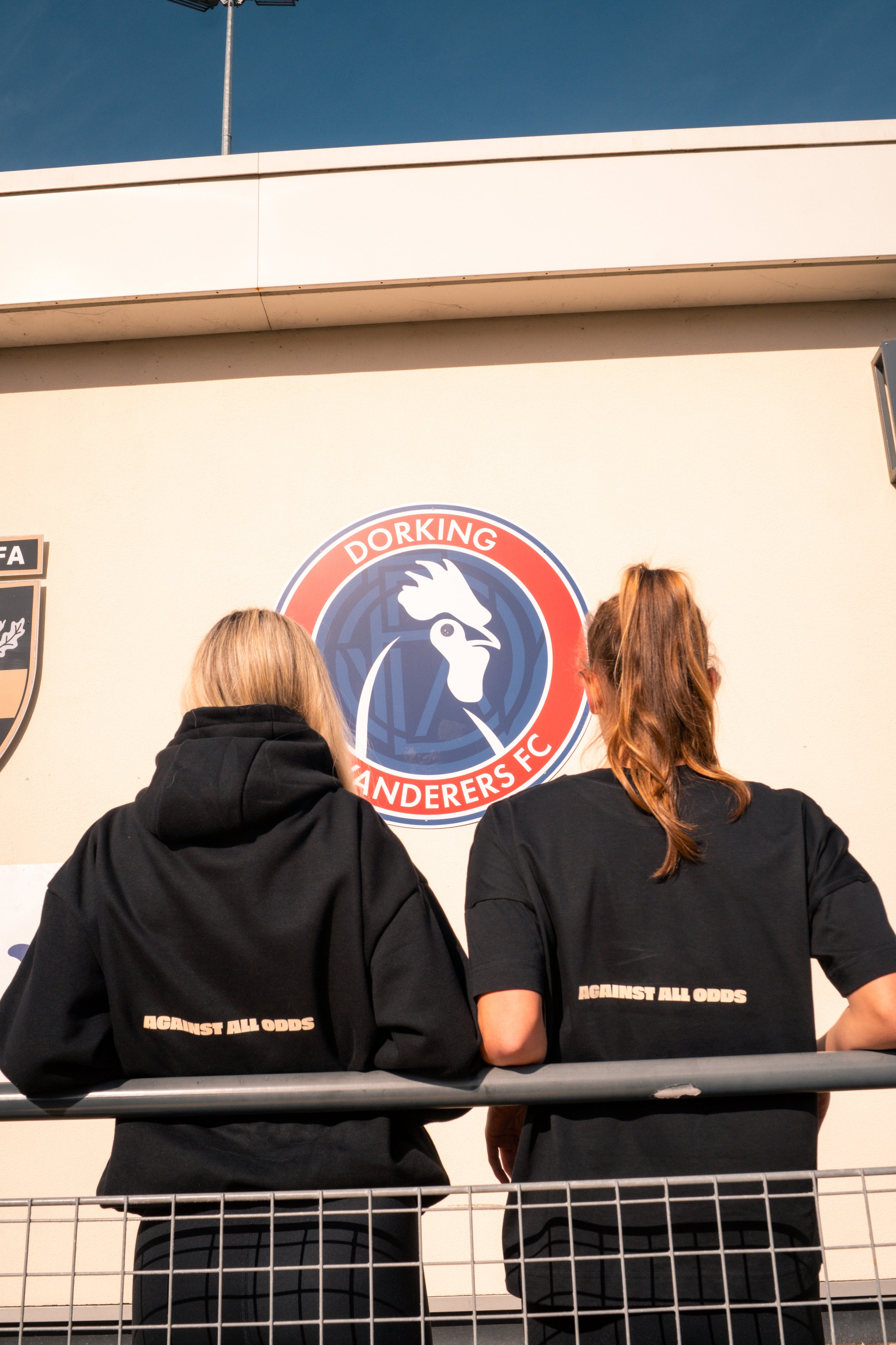 Dorking Wanderers | Premium Heavyweight Hoodie