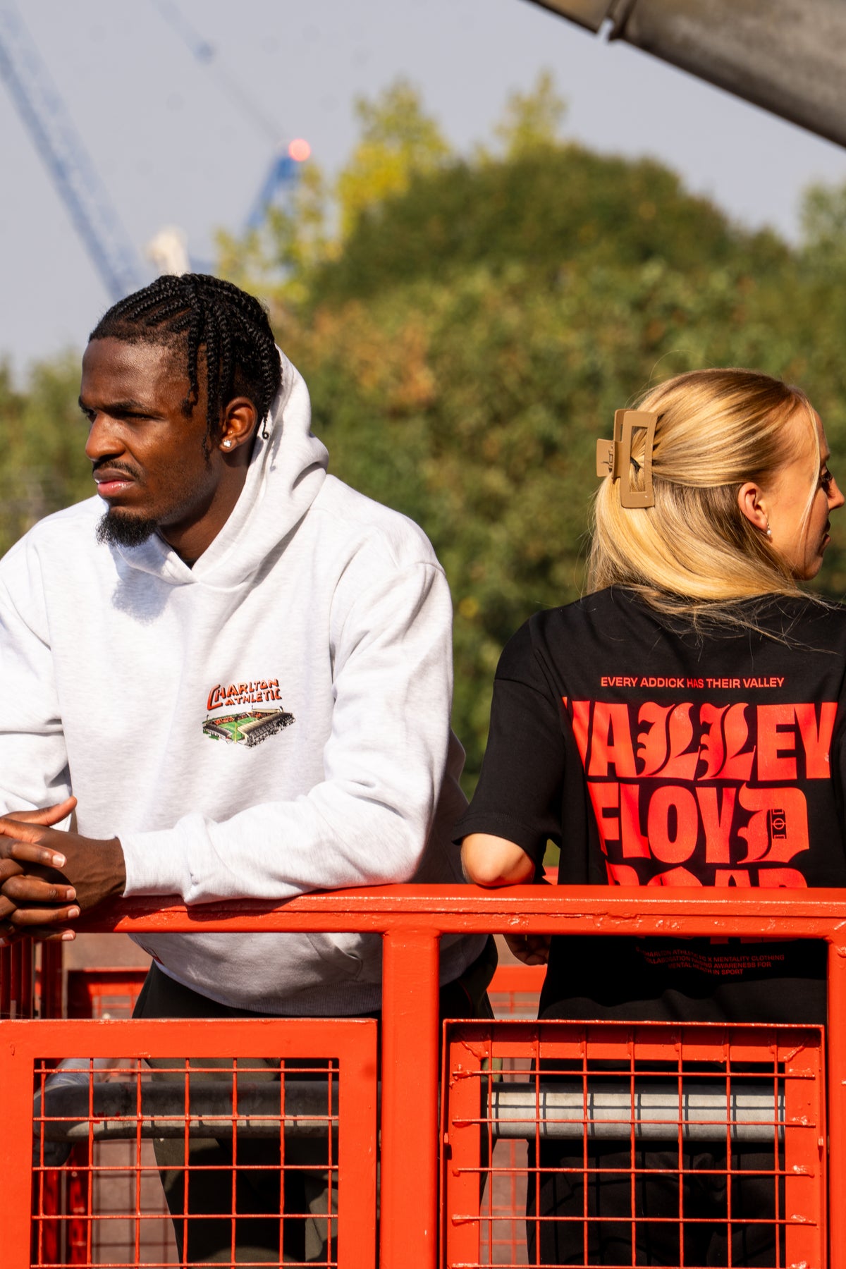 The Valley | Premium Heavyweight Hoodie grey