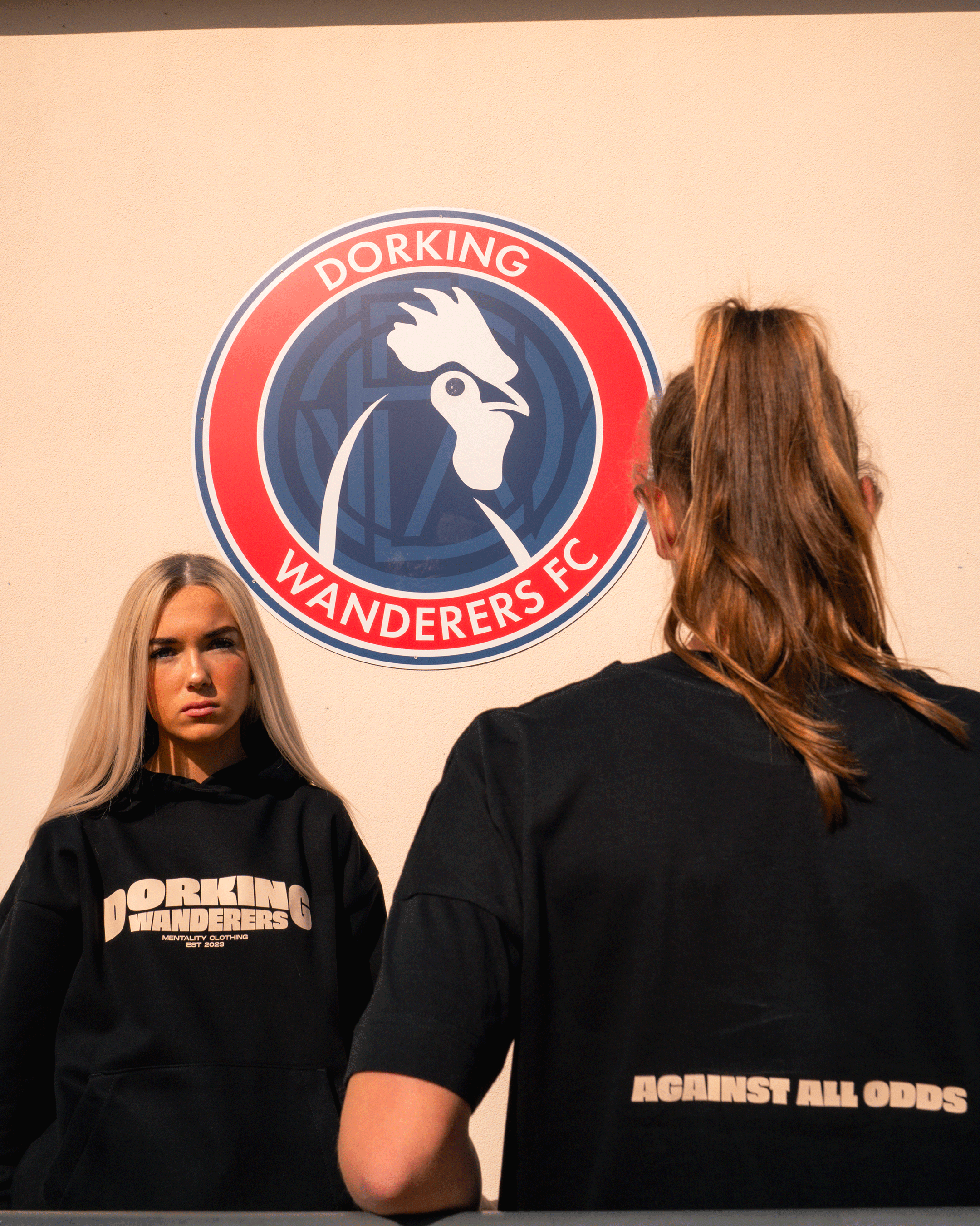 Dorking Wanderers | Premium Heavyweight Hoodie