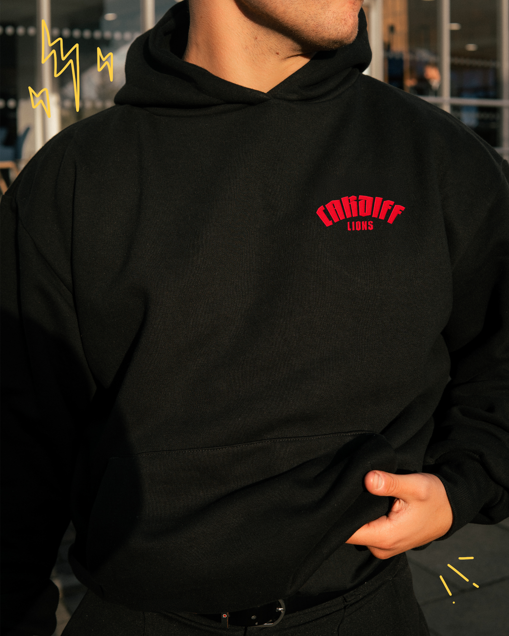 The Lion Hoodie | Premium Heavyweight Hoodie