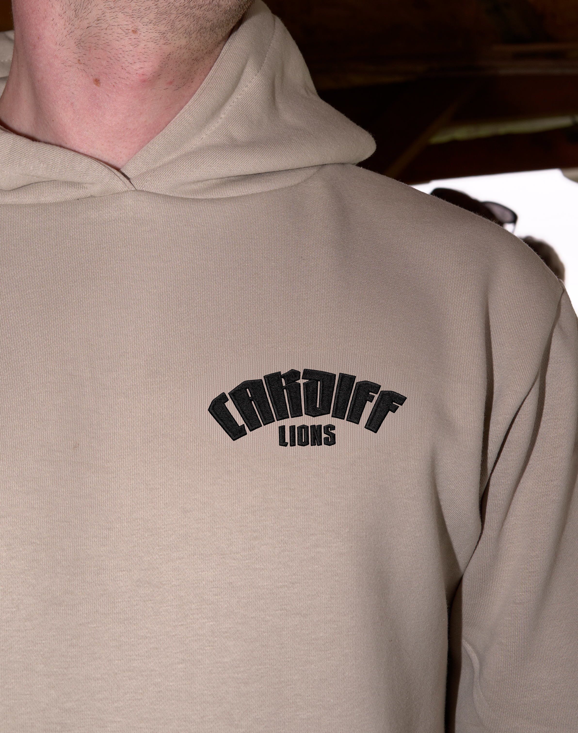 The Pride Hoodie | Premium Heavyweight Hoodie